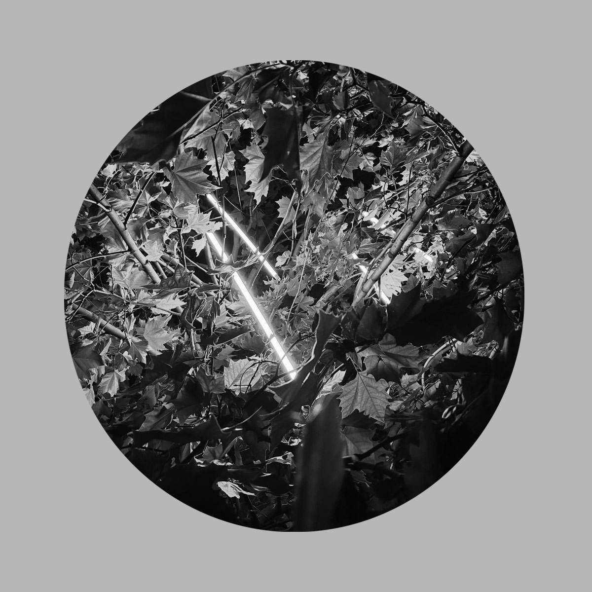 unform biocode