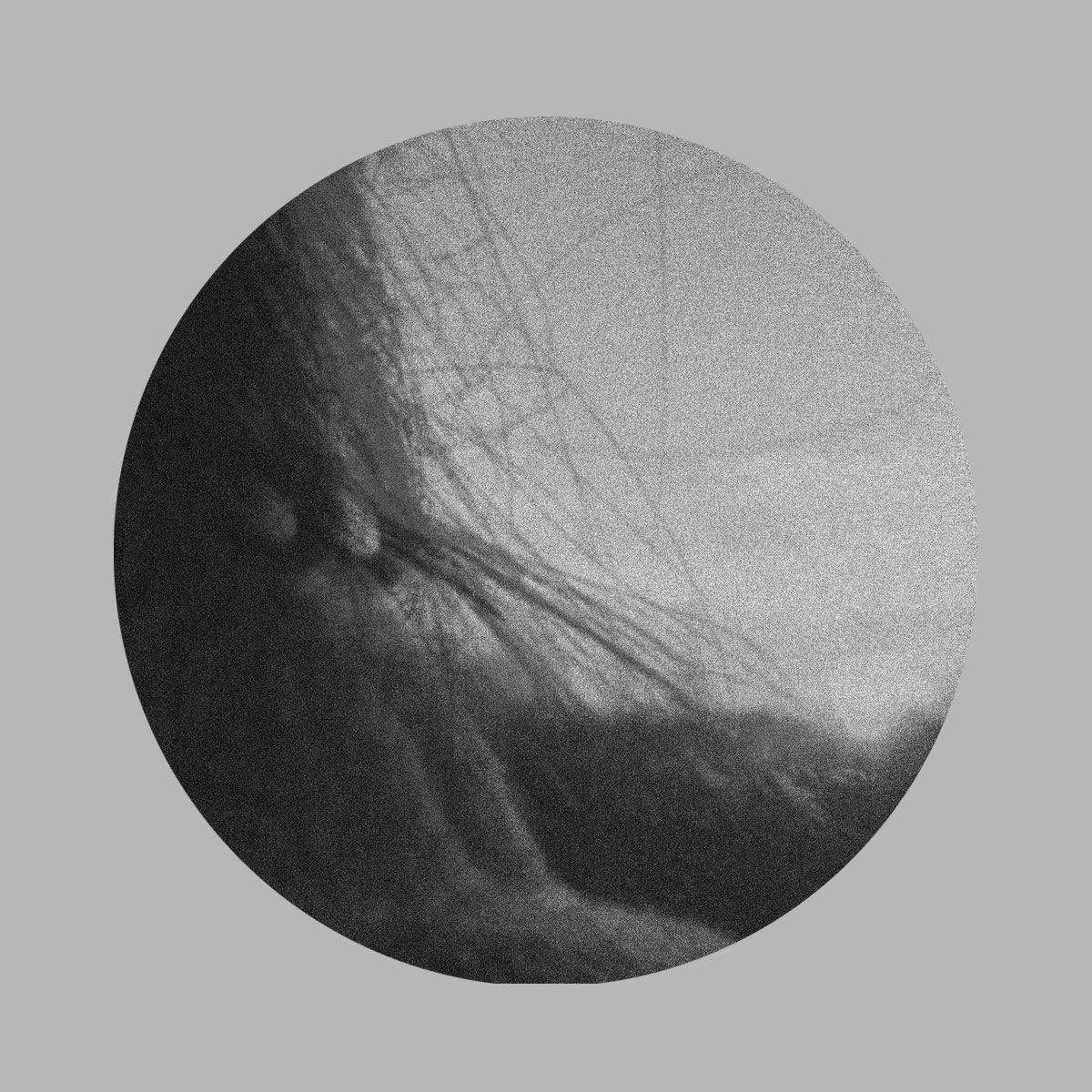 unform monolight